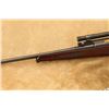 Image 11 : Buffalo Newton Rifle Co. Model 1924 .30 Newton 24" Bolt Action & Period Scope, 1924-1926 C&r