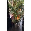 Image 3 : FAUX PLANT AND WASTE RECEPTACLES