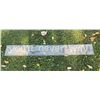 Image 1 : Neon Sign "You'll Never Win"