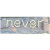 Image 3 : Neon Sign "You'll Never Win"