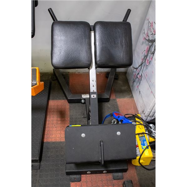 BAILIFF SEIZED: ARSENAL STRENGTH 45 DEGREE HYPER