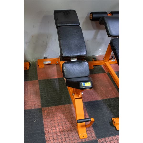 BAILIFF SEIZED: VARSENAL STRENGTH ALPHA SERIES