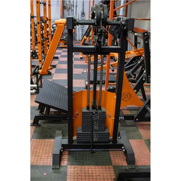 BAILIFF SEIZED: ARSENAL STRENGTH LATERAL RAISE