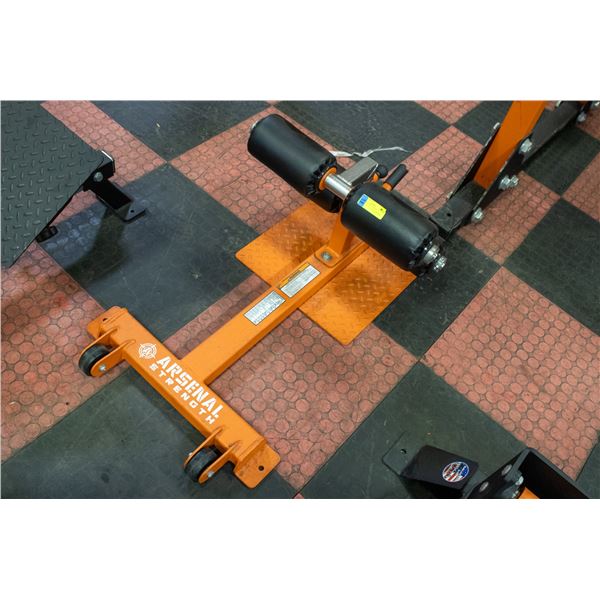 BAILIFF SEIZED: ARSENAL STRENGTH ALPHA SISSY SQUAT