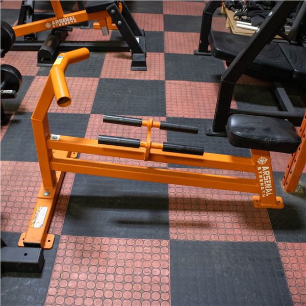 BAILIFF SEIZED: ARSENAL STRENGTH CHEST SUPPORTED