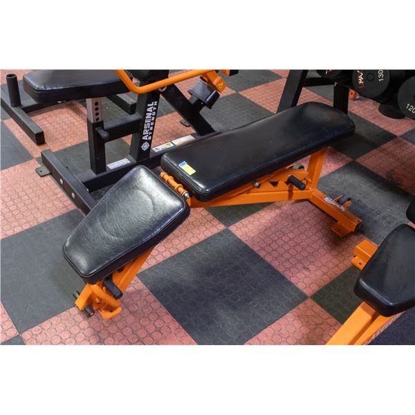 BAILIFF SEIZED: ARSENAL STRENGTH ADJUSTABLE WEIGHT