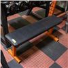 Image 1 : BAILIFF SEIZED: ARSENAL STRENGTH BENCH