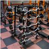 Image 1 : BAILIFF SEIZED: PREACHER CURL BAR RACK
