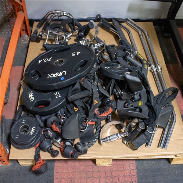 BAILIFF SEIZED: PALLET OF WEIGHT LIFTING