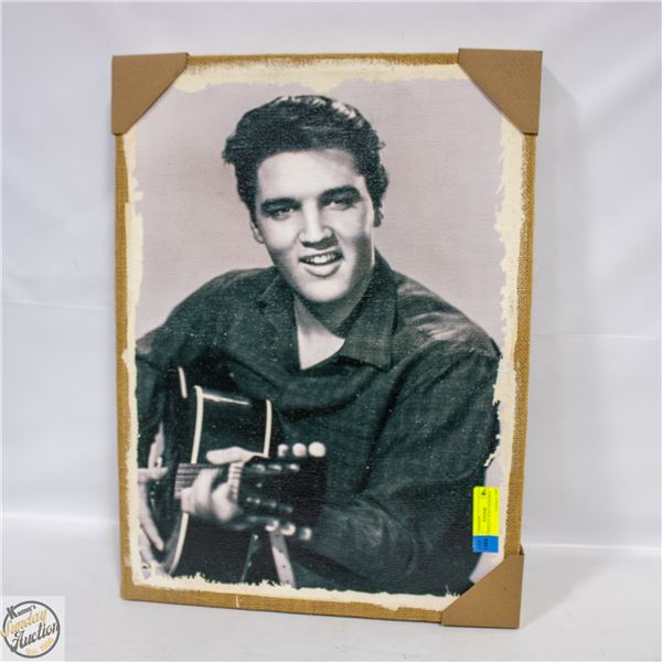 ELVIS PRESLEY WALL HANGING 17" X 22.5"