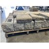 Image 4 : PALLET OF ALLAN BLOCK CORNERS AND CAPS, ONE HALF BRICK, ALL GOOD NO CHIPS