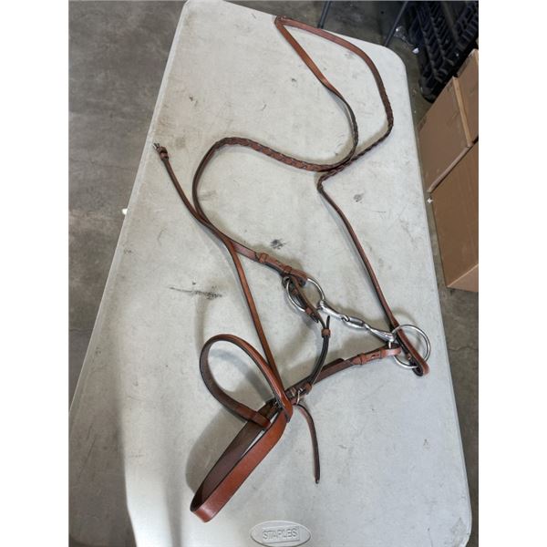 SET OF REINS WITH BIT
