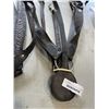 Image 2 : 2 HORSE BREASTPLATE AND HORSE BRIDAL