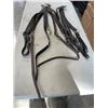 Image 4 : 2 HORSE BREASTPLATE AND HORSE BRIDAL