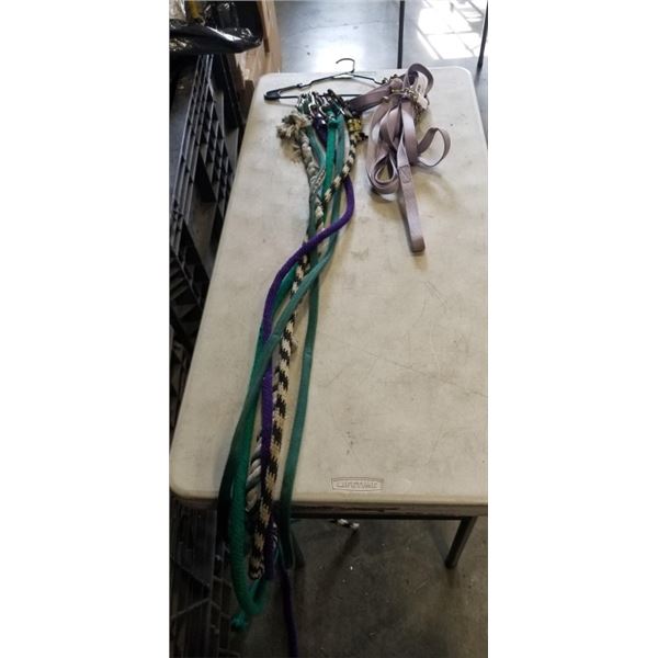 6 HORSE LEAD LINES AND 1 LUNGE LINE