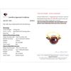 Image 1 : 4.89 CT CERTIFIED SILVER RUBY / GARNET GEMSTONE RING ($7,202 APPRAISAL)