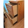 Image 6 : Wooden Two-Drawer File Cabinet with Glass Table Lamp Floral Shade
