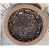 Image 3 : XLarge Glazed Ceramic Garden Pot with Dragon Motif