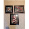 Image 2 : Framed Holiday Prints Lot with Santa Claus and Birds, Set of 3