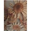 Image 3 : Framed Pressed Flower Artworks, Victorian Flowers, Victoria, B.C.