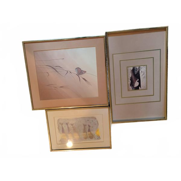 Framed Art Prints Set of 3 Including Butterfly, Abstract and Black and White Designs