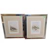 Image 1 : Framed Watercolours by H. Verschoor Möwen am Strand and Möwen am See
