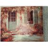 Image 5 : 2 Framed Prints Friend & Family Plus European Doorway Canvas Art