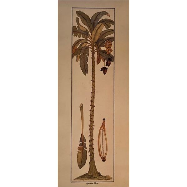 Vintage Tropical Banana Palm Tree Art Print