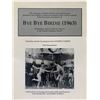 Image 1 : Bye Bye Birdie unsigned program