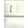 Image 1 : Whittingham Jay Hovdey signed book