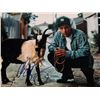 Image 1 : Adam Sandler signed photo
