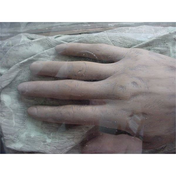 Artist Mariette Lydis signed wood sculptured hand