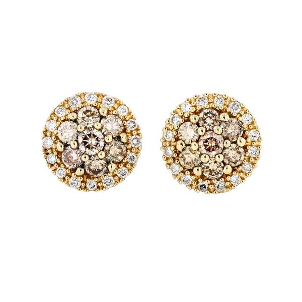 14K Yellow Gold 0.75ctw Diamond Earrings