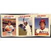 Image 1 : 1979 HOSTESS BASEBALL PANEL - ELLIS VALENTINE