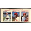 Image 1 : 1979 HOSTESS BASEBALL PANEL - FISK/FOSTER/HERNANDEZ
