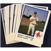 Image 1 : 1986 PRO CARDS INC. MiLB WINTER HAVEN RED SOX TEAM SET - BRADY ANDERSON