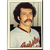Image 1 : 1975 SSPC BASEBALL WAYNE GARLAND