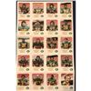 Image 2 : 1981 EDMONTON ESKIMOS RED ROOSTER SET - WARREN MOON (HOF)