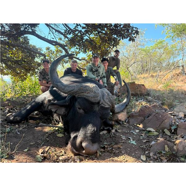 Exceptional Cape Buffalo Hunt (No Trophy Fee) - Adansonia Safaris has donated a 10-day South African