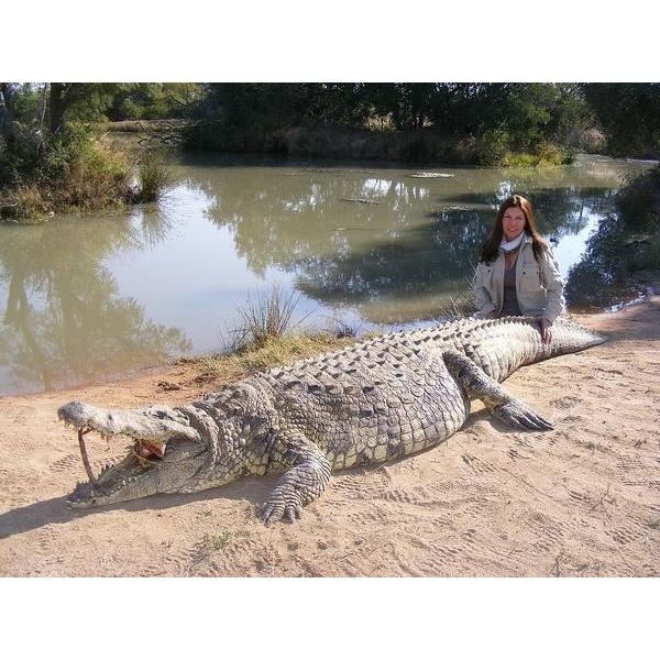 South Africa Crocodile hunt for two - Africa Maximum Safaris