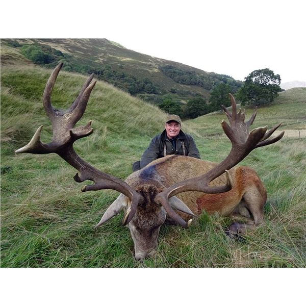 Exceptional 7-day (including travel) Scottish Red Stag Hunt with International Adventures
