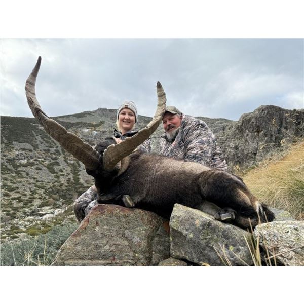 5-day big game hunt in Spain for one hunter and one non-hunter, plus a Barcelona city tour.