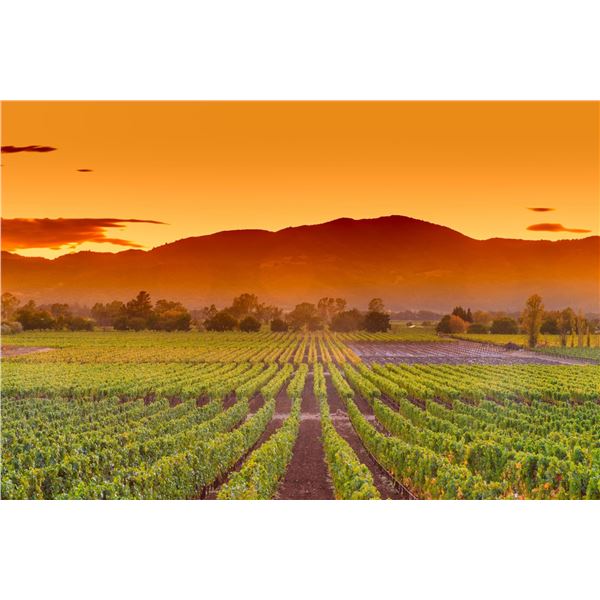 Notions of Napa Valley - 3 Nights for 2