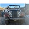 Image 1 : JEEP CJ5 1979 O/S T-DON