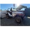 Image 2 : JEEP CJ5 1979 O/S T-DON