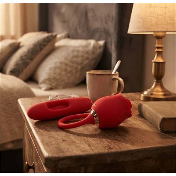 Red Silicone Rose Vibrator Kit With Charger