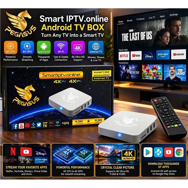 PEGASUS Android TV Box SmartIPTV.online H.265