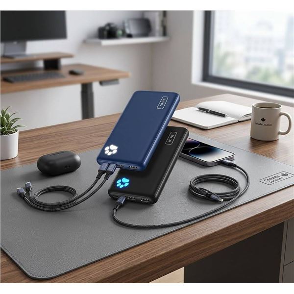 INIU 2 Pack 10000mAh Power Bank BI-B41