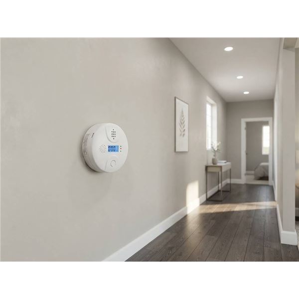 Carbon Monoxide Alarm Model C20A 2AA
