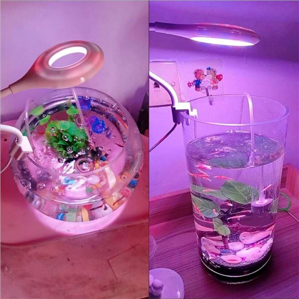 BigTron Full Spectrum Blue-Red Light For aquarium